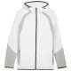 Puma Ανδρική ζακέτα Evostripe Full-Zip Hoodie